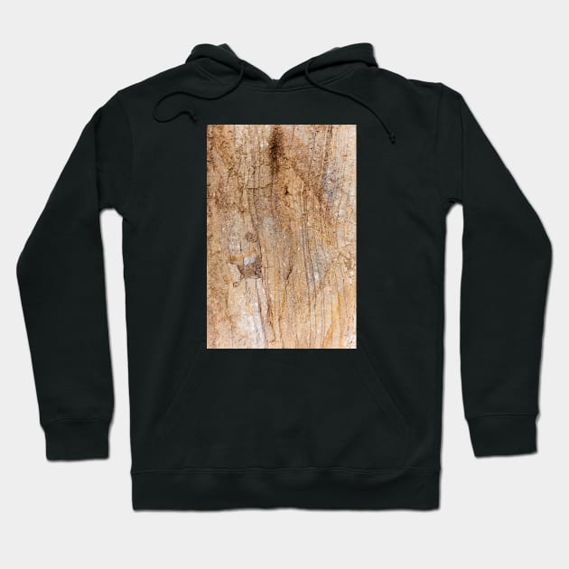 Crushed Erosion Earth Surface Hoodie by textural